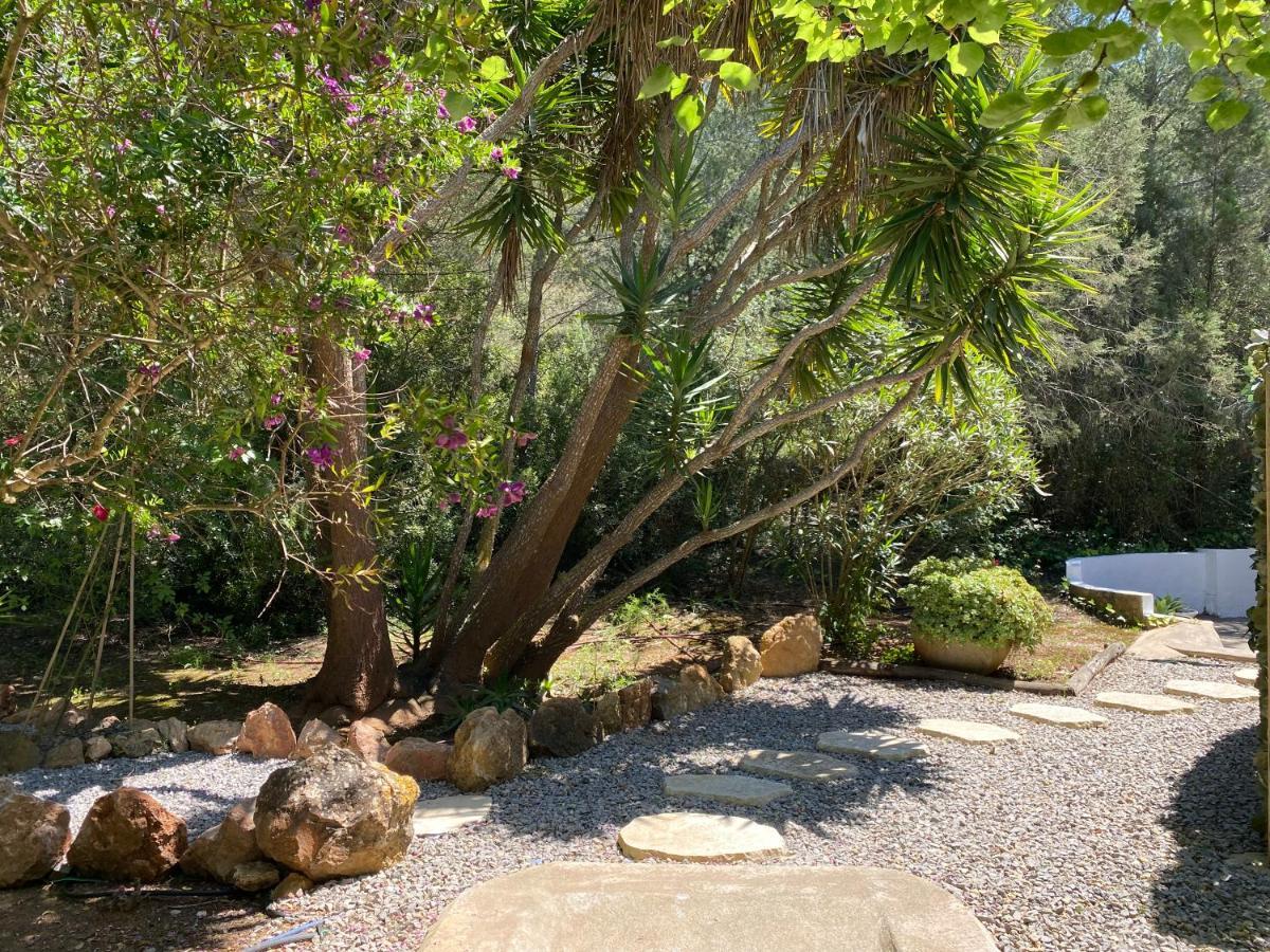 Can Iara Sant Miquel de Balansat Buitenkant foto